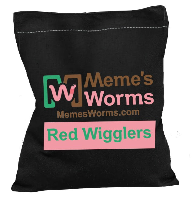 Pure Red Wiggler Composting Worms EISENIA FOETIDA