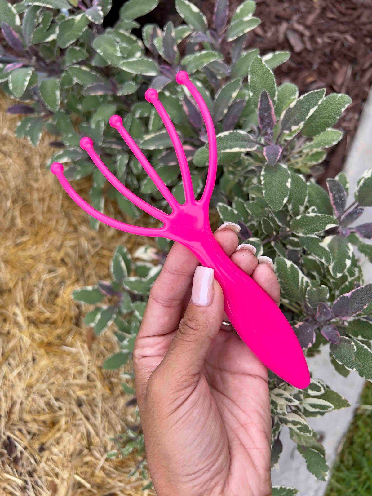 Buy Worm Comb | Best Worm Comb for Vermicomposting