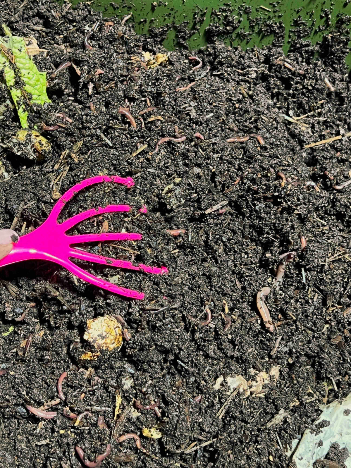 Buy Worm Comb | Best Worm Comb for Vermicomposting