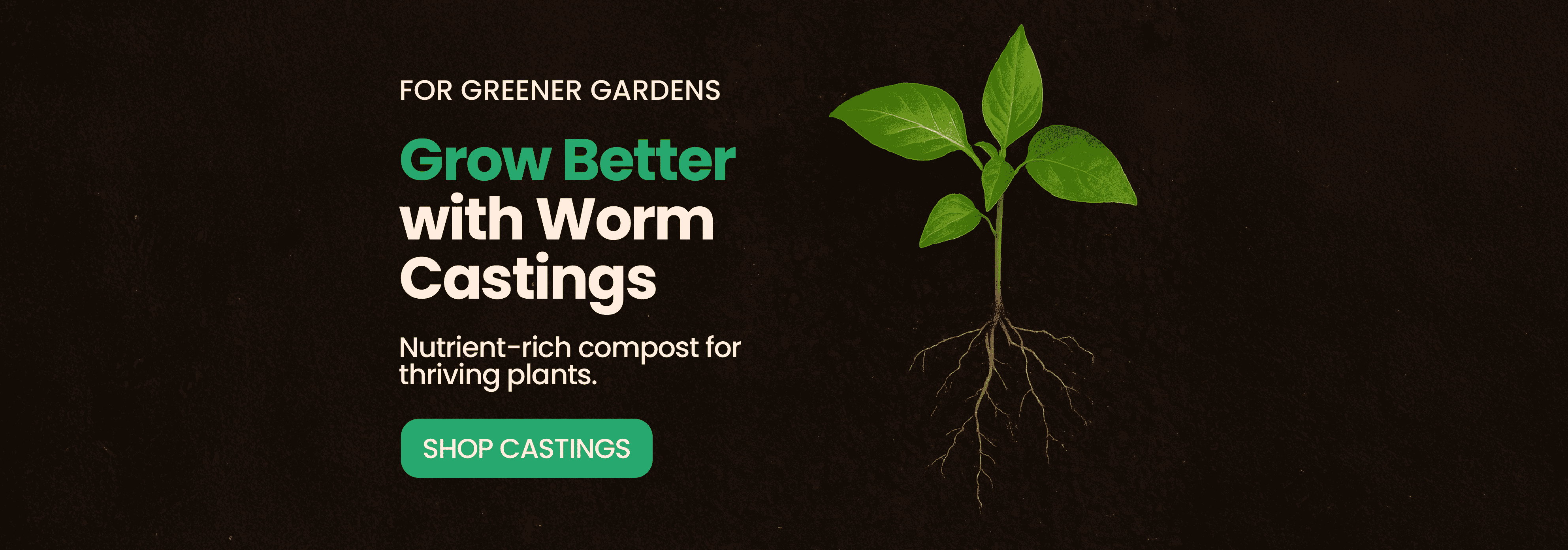 Worm Casting