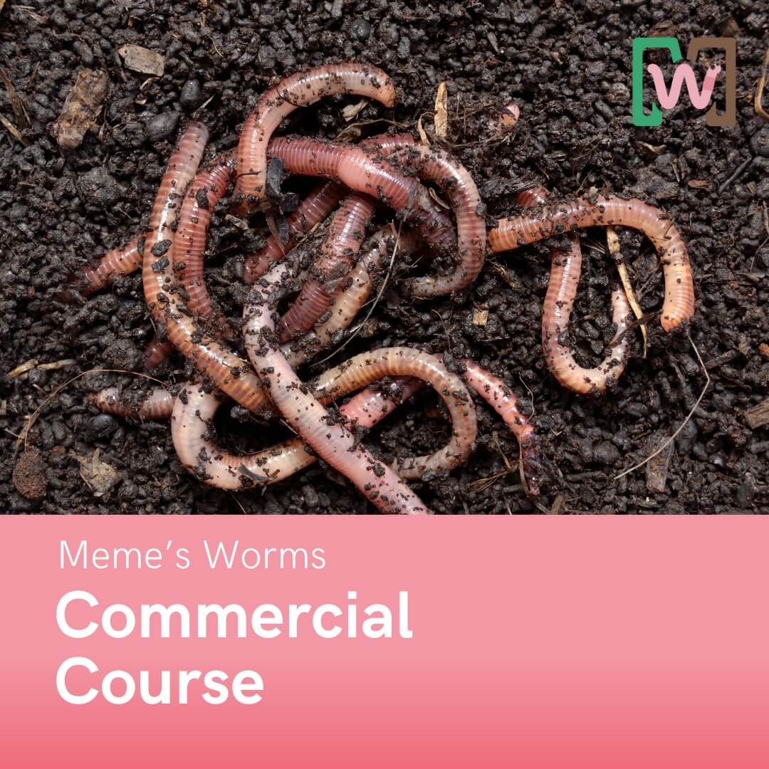 Worm Farming Course for Commercial Success