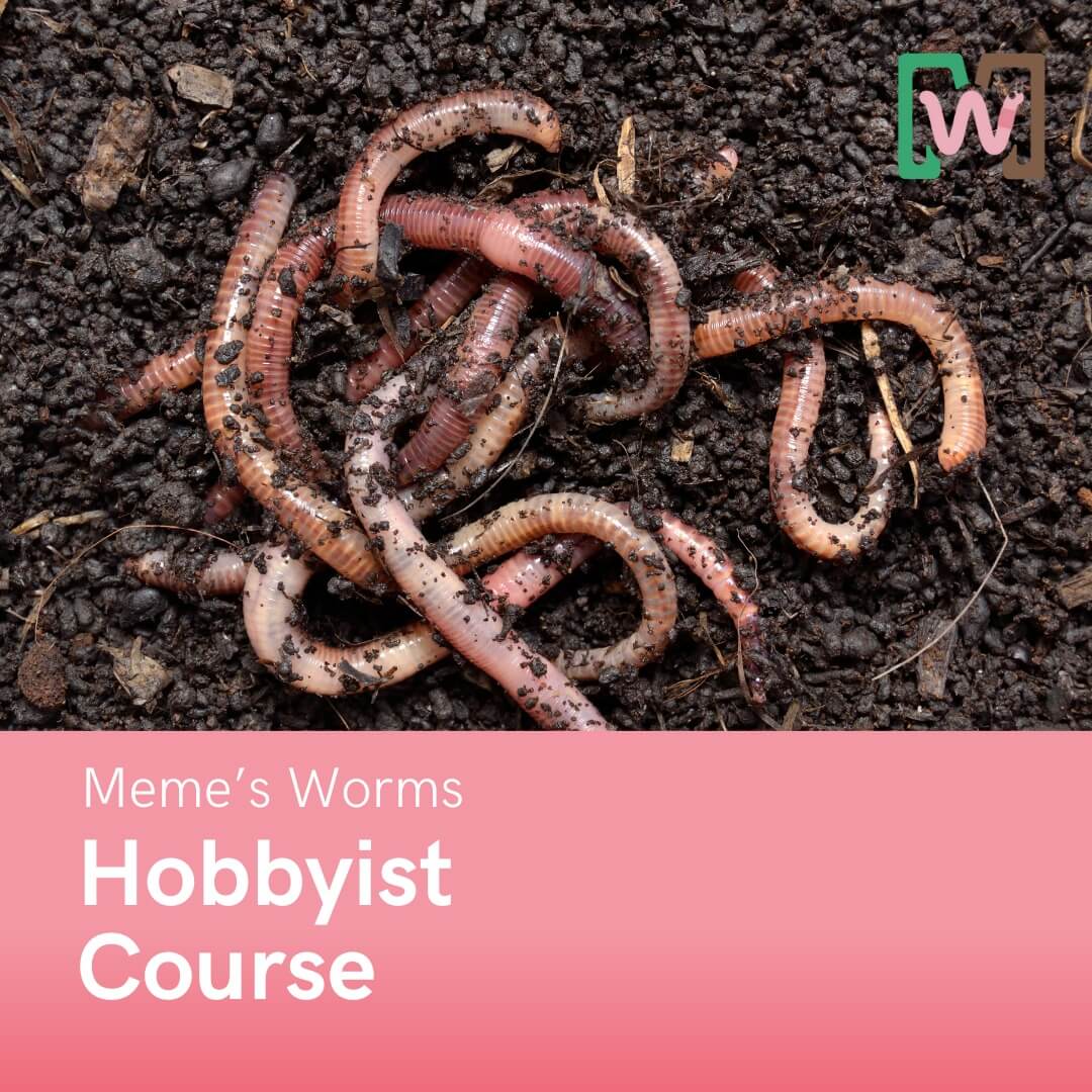 Worm Farming Course for Hobbyist