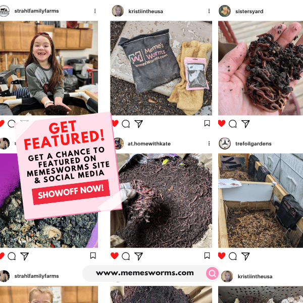 get featured on memes worms