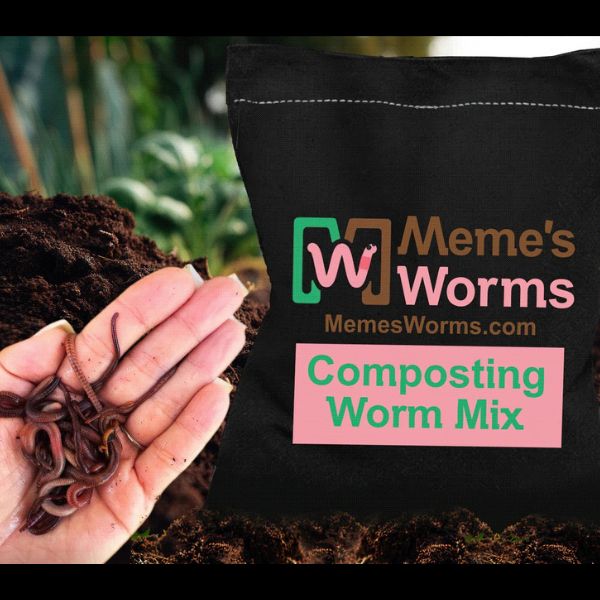 memes worms composting worm mix
