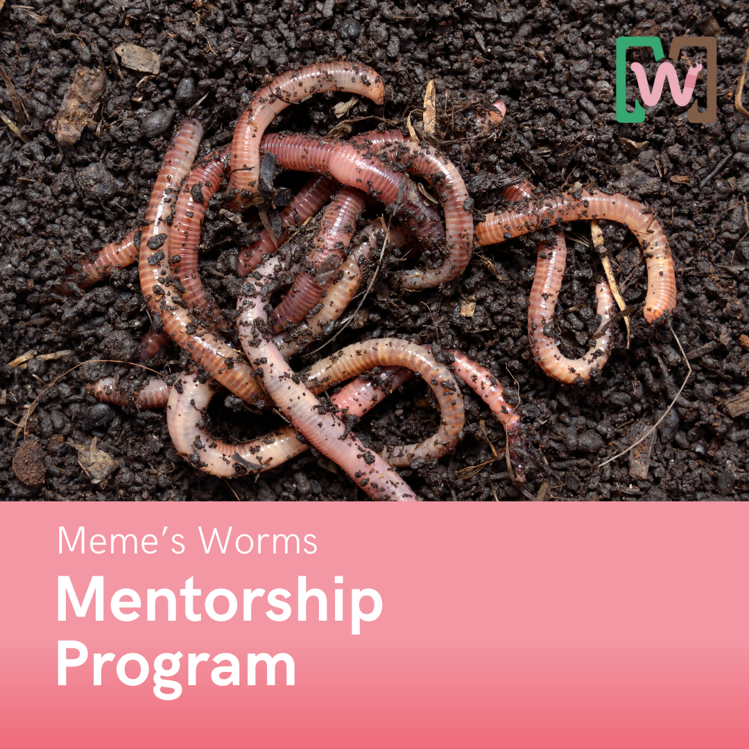 Meme’s Worm Business Mentorship Program
