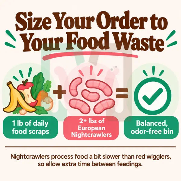 Size Your Order to Your Food Waste