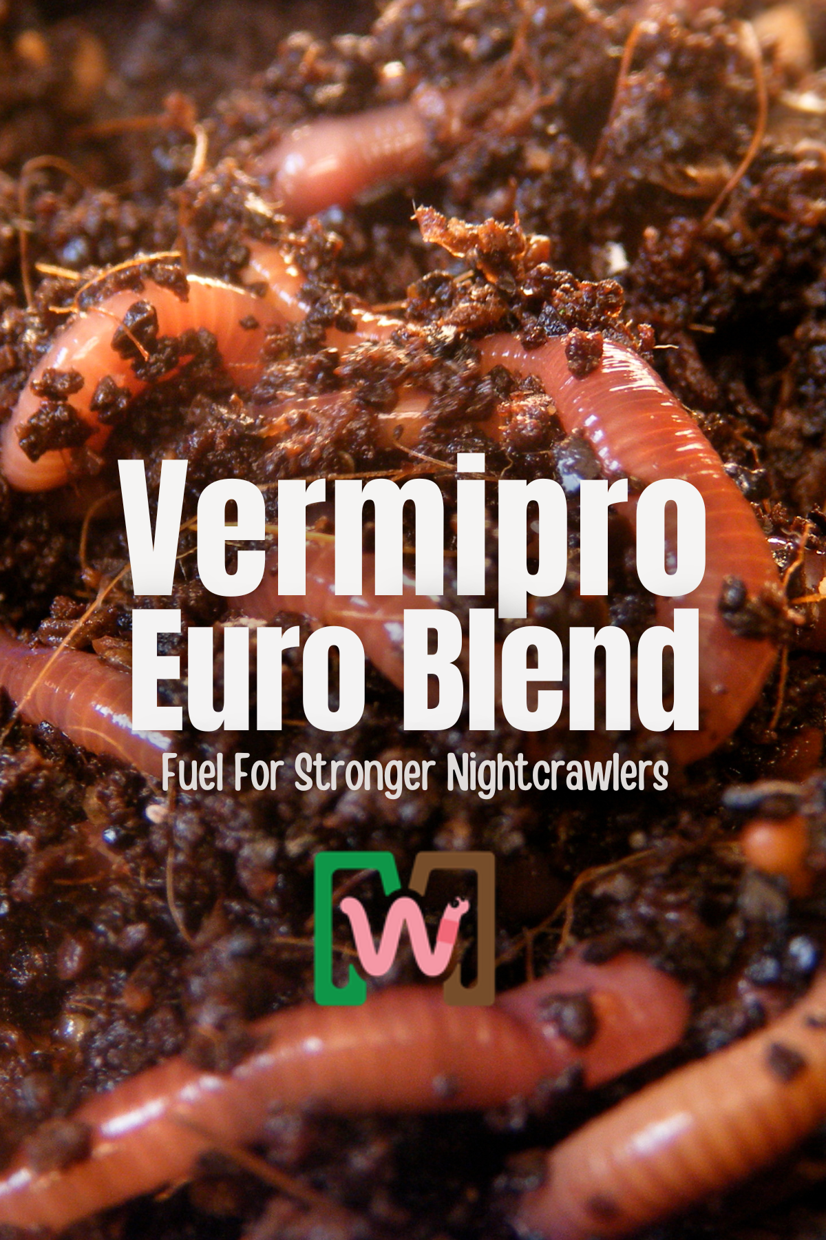 European Nightcrawler Food - Best Bedding