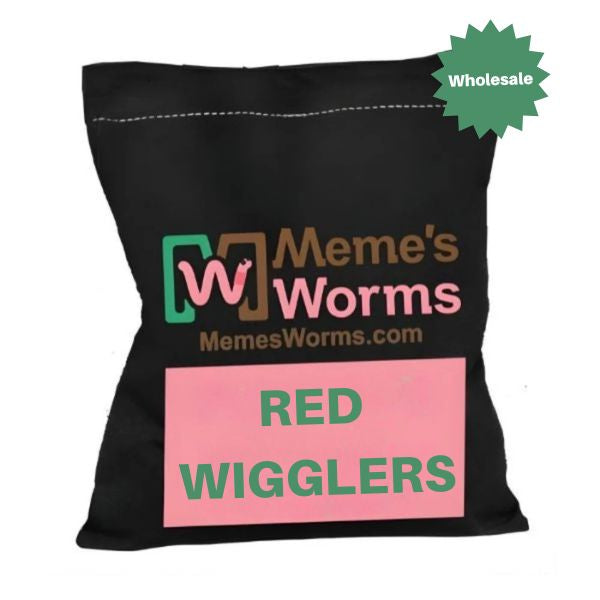 5000 Red Wiggler Composting Worms For Sale - FREE SHIPPING