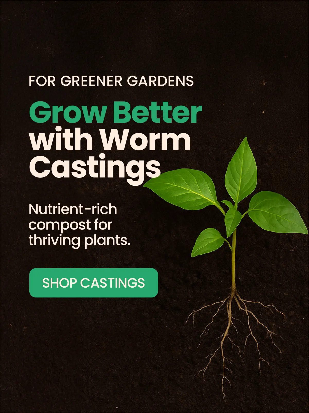 worm casting organic